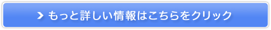40ȏ̍{XLPAIuAfR[@\eICv̔TCg